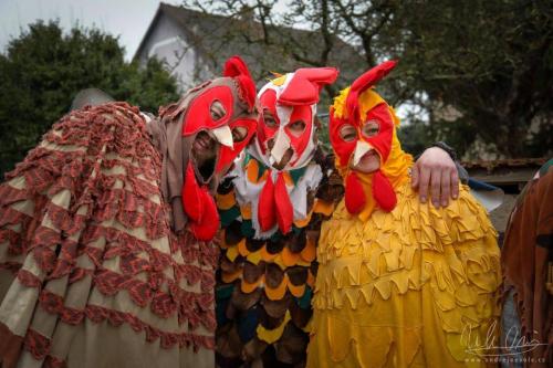 0E4A9435 result result